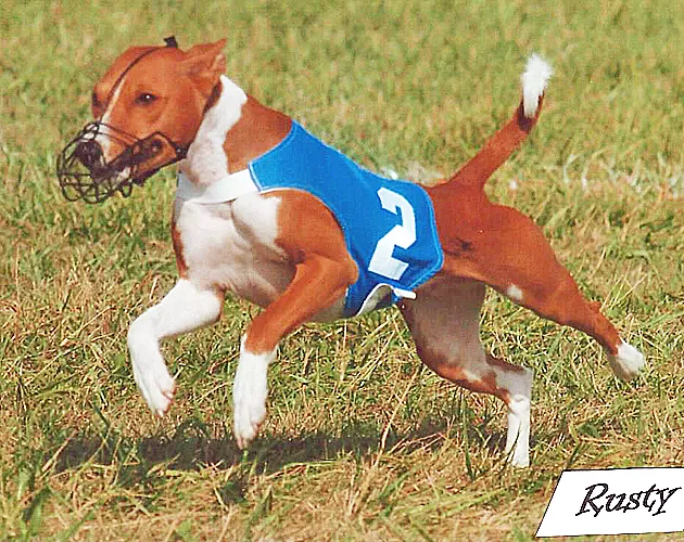 Rusty